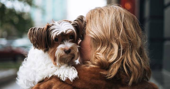 Dog owners urged do one thing now to prevent painful winter problem