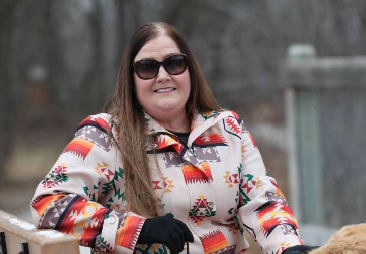 Mapping future critical mineral exploration