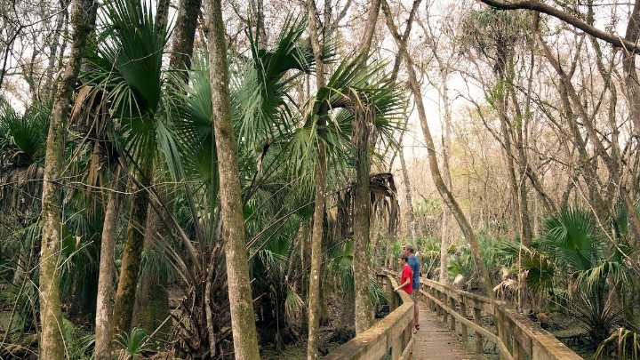 Florida’s original state park is a hidden haven