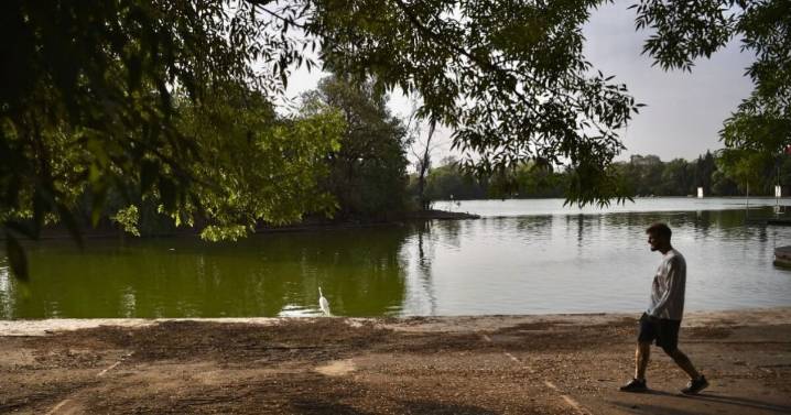 Cascajo y desechos se convierten en tecnosuelos para el Bosque de Chapultepec y camellones de CDMX