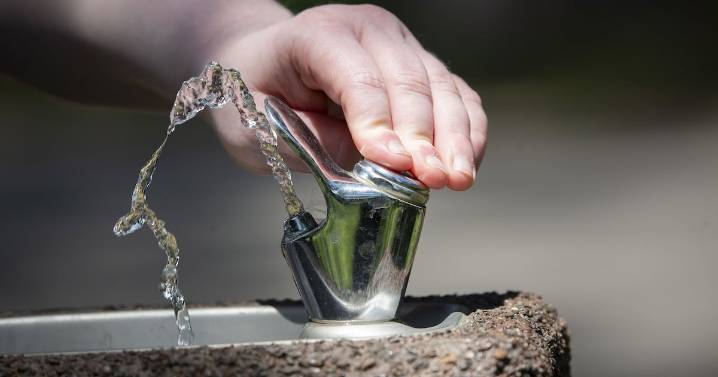 Fluoride in drinking water does not hurt cognition: study