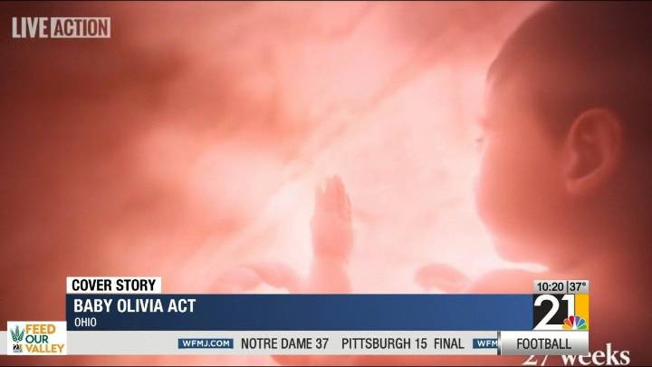 Cover Story: State House bill concerns Pro