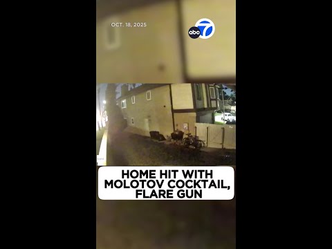 Home hit with molotov cocktail, flare gun