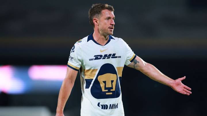 Ex-Arsenal star Ramsey can't 'move on' from disappearance of dog