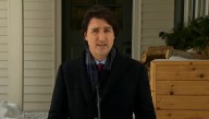Trudeau Tests Positive For Fascism