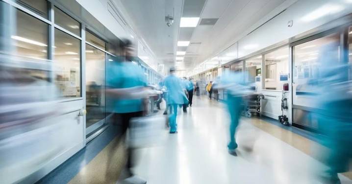 Los profesionales del mañana