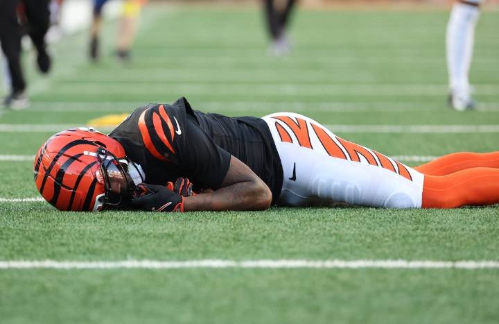 Deadspin | Bengals WR Tee Higgins (concussion) injured vs. Patriots