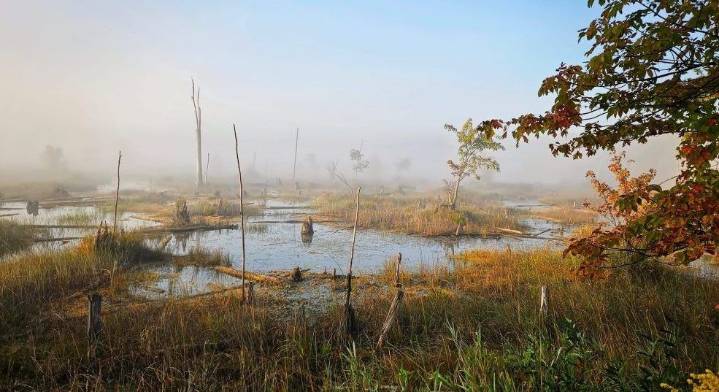 Final push being made to permanently protect 600 acres at Benallen