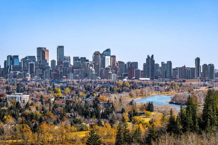 11 amazing things to do in Calgary this week: Nov. 3 to 7
