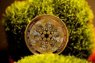 Time For A Cardano Reset? Crypto Pundit Claims Its DeFi Must Undergo Full Structural Overhaul