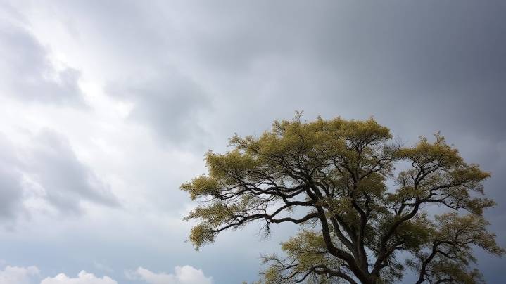 Hay alerta amarilla por viento para este martes 18 de noviembre en Neuquén: las zonas afectadas