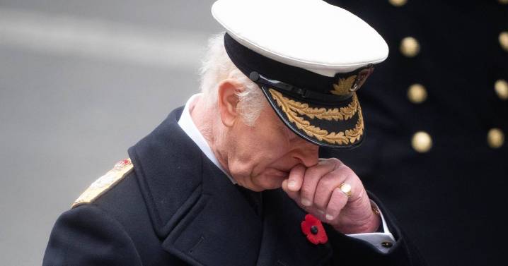 Remembrance Sunday London Parade - timings, road closures and how to watch