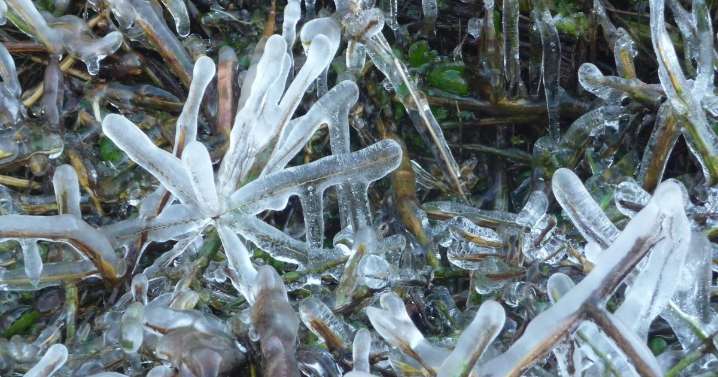 El pueblo que ha amanecido con -5,5 grados, la temperatura más baja de España