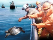 Pesca industrial compatible en áreas naturales protegidas