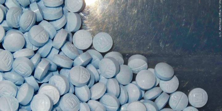 10 pounds of fentanyl seized by RPD this year