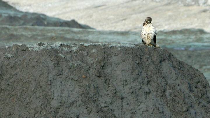 Coal ash chemicals threaten me and my Iowa neighbors