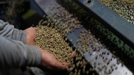 Trump expands tariff relief on coffee, fruit and beef from Brazil
