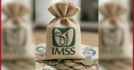 Pensión IMSS: fecha del último pago del año y quiénes recibirán más de 17 mil pesos