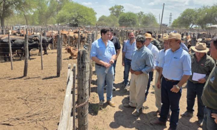 El 10° remate de invernada de las asociaciones paipperas del bañado La Estrella ofertó más de 1.300 cabezas