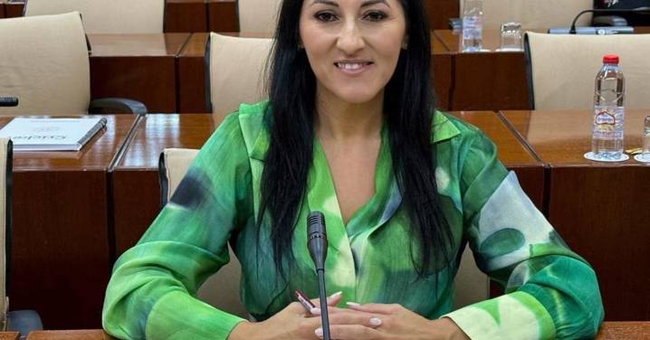 Podemos pide a la Junta de Andalucía que se paralice la fotovoltaica proyectada en El Fargue