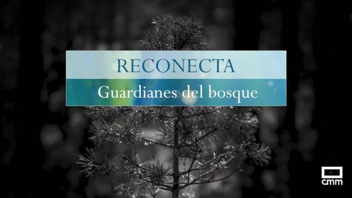 RECONECTA, GUARDIANES DEL BOSQUE