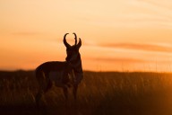 Wyoming’s Economy Takes A Hit With A Surprising Tax Revenue Drop