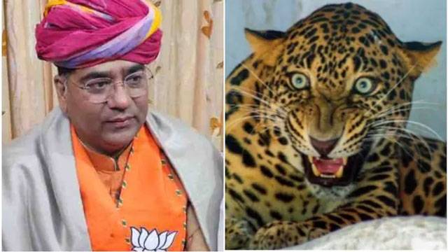 Leopard sparks panic after entering Rajasthan minister’s bungalow in Jaipur’s high