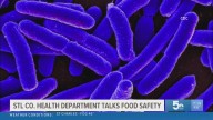 St. Louis County Health Department talks Thanksgiving food safety