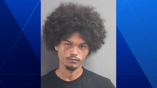 Man on probation arrested after allegedly firing gun at gathering in Deltona