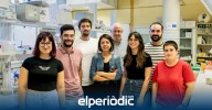Científicos valencianos crean diminutos robots que usan el azúcar del cáncer para llevar la quimioterapia al interior del tumor