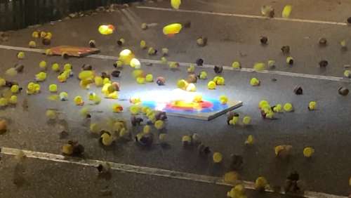 Annual Hamilton Turkey Drop' remembers iconic 'WKRP' episode when turkeys fell