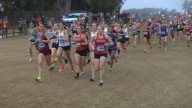 FHSAA cross-country state championship meet, photos from Tallahassee
