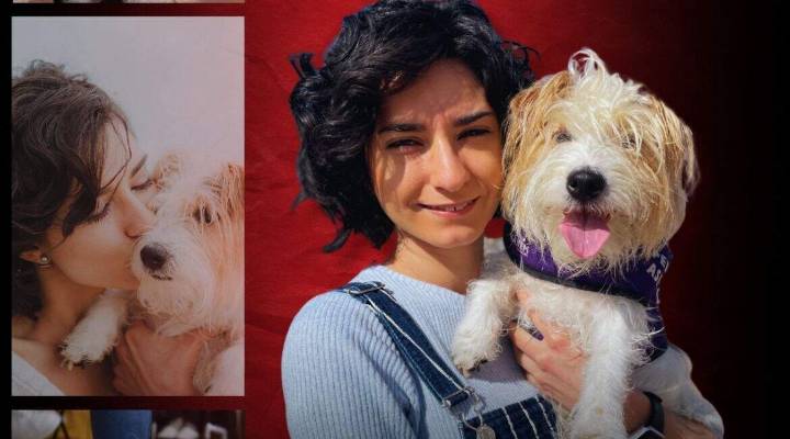 Lidia y Cini, dueña y perrita: de Zaragoza a ganar los Celebrity Pets