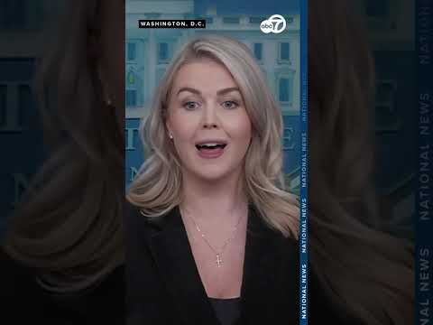 Leavitt addresses Trump's 'piggy' comment towards reporter