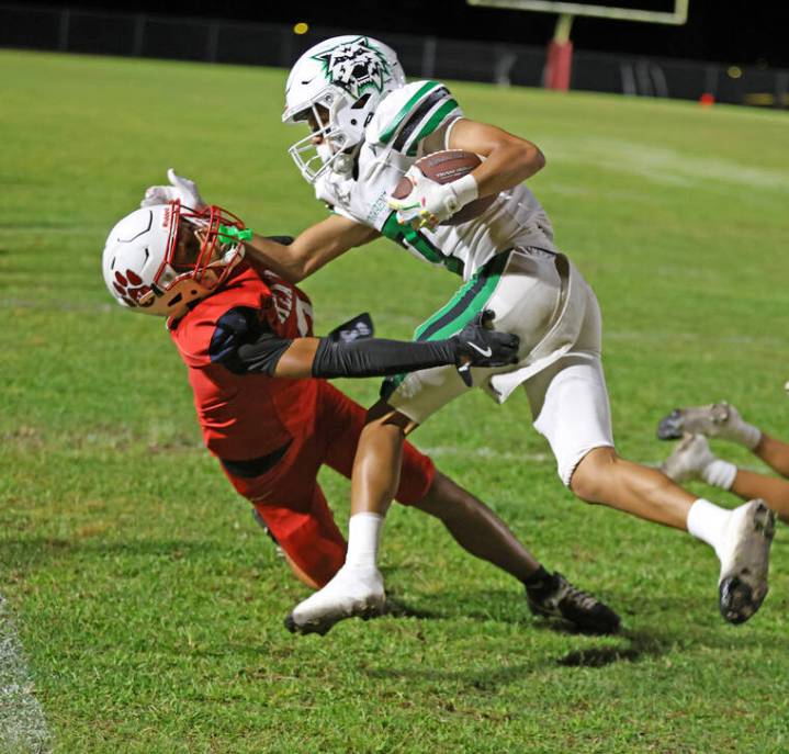 Wildcats, Cougars battle tonight for DI crown