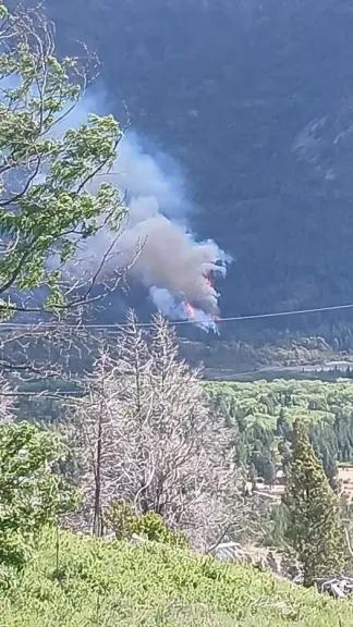 Un incendio forestal avanza en El Pedregoso y pone en riesgo varias viviendas