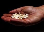 Lebanese army arrests country’s ‘most wanted’ drug trafficking suspect