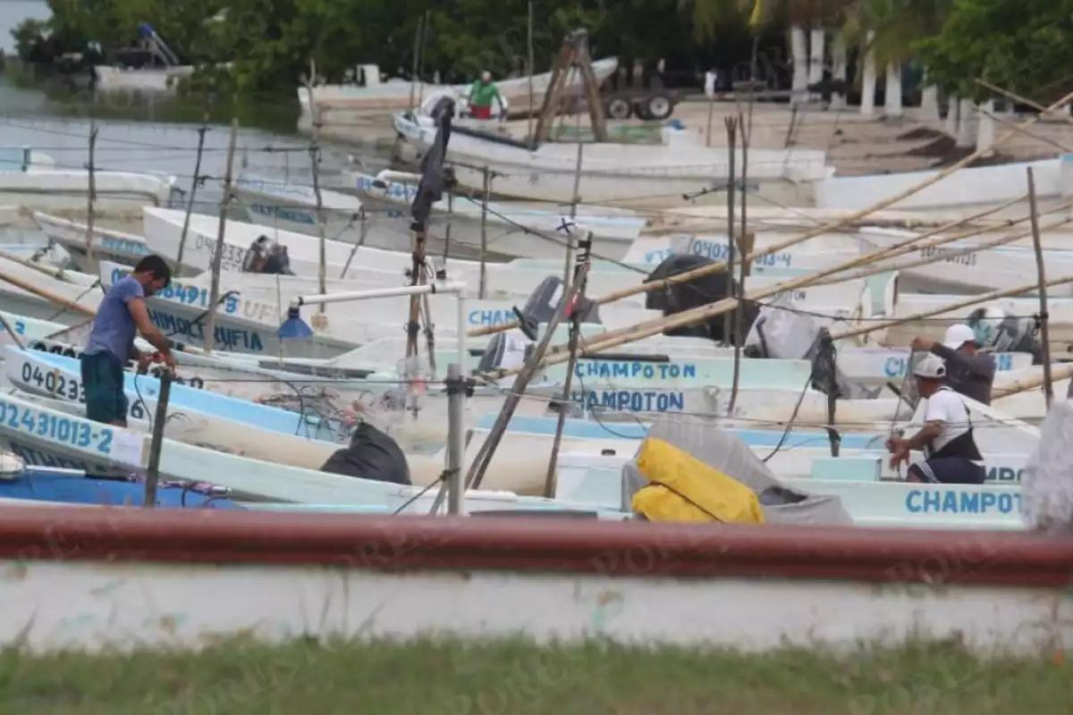 Captura de pulpo aumenta 33% tras evento de “Norte” en Champotón