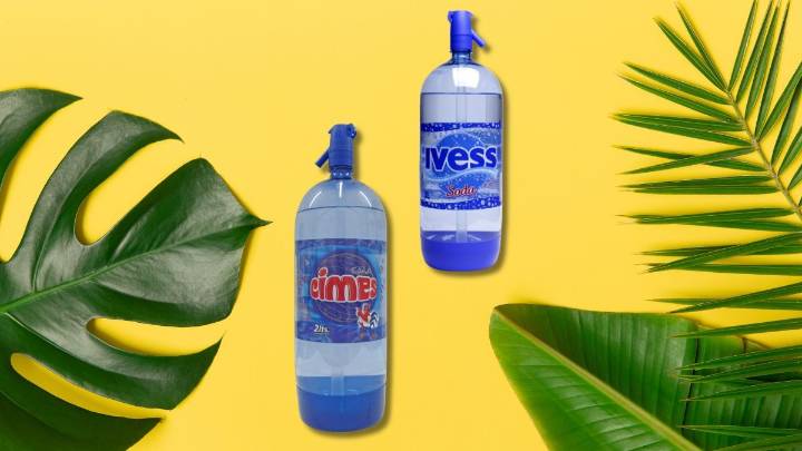 Con un sifón de soda descartable, crea una hermosa maceta gracias a esta idea de reciclaje