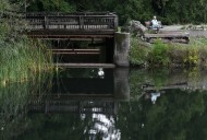 Marin County reservoirs plentiful ahead of La Niña winter