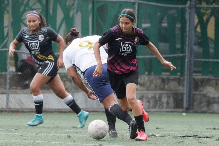 Todo listo para el Torneo Femenil con causa
