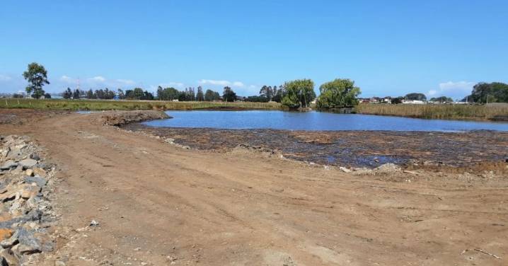 Ordenan paralización de proyecto inmobiliario en Coronel tras detectar humedal emergente con presencia de fauna
