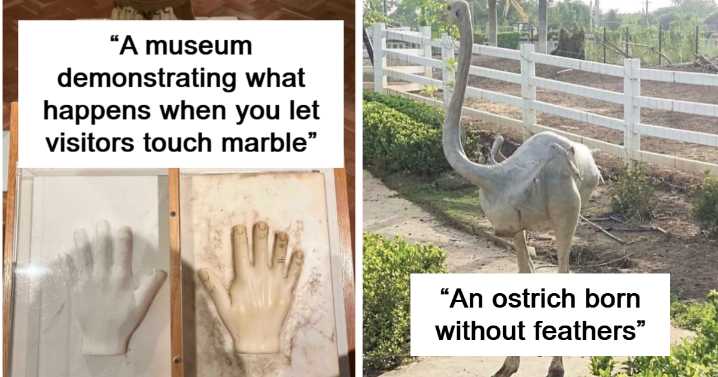 60 Times People Took A Pic Of Something Very Random They Found Out