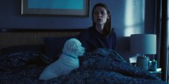 ‘The Beast in Me’: Does Steve the Dog Die in Netflix’s New Show? | Netflix, Television, The Beast In Me 