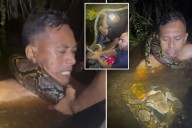 Python drags man overboard in Indonesia, strangles him