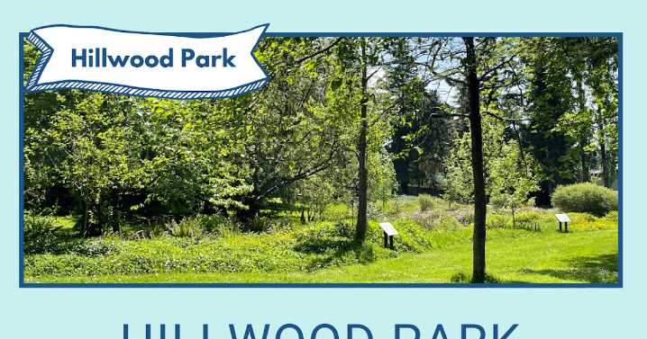 Green Shoreline Planting Event at Hillwood Park on Friday November 14, 2025
