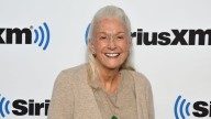 Diane Ladd, three-time Oscar nominee and veteran actress, dies at 89