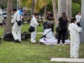 Motociclista se estampa contra palmera y muere en la avenida Bonampak de Cancún