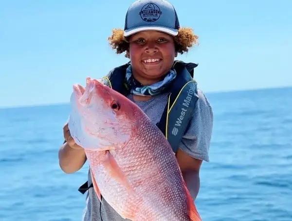 Florida Gov. DeSantis Pushes For State Control Of Atlantic Red Snapper, Proposing 39