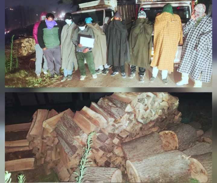 Police Bust Willow-Theft Racket, Arrest Nine in North Kashmir